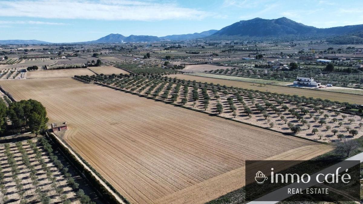 Działka na sprzedaż w Villena, Alicante photo 5