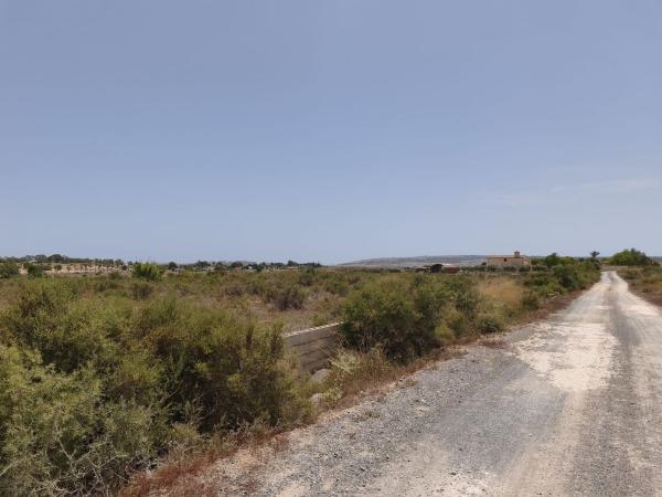 Terreno en El Altet - Balsares, Elche / Elx photo 1