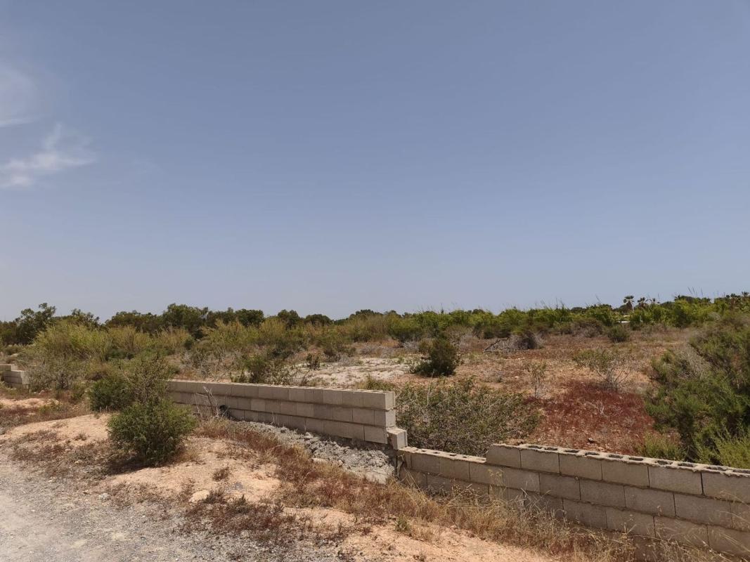 Terreno en venta en Elche / Elx, Alicante photo 2