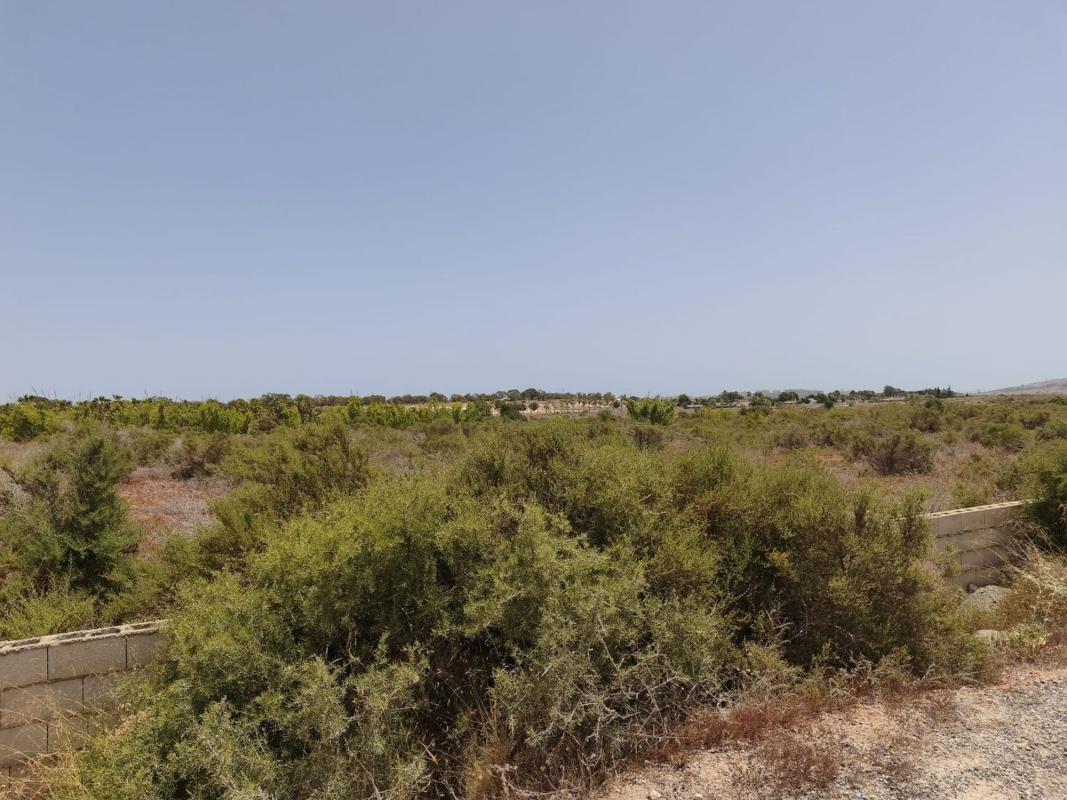 Terreno en venta en Elche / Elx, Alicante photo 3