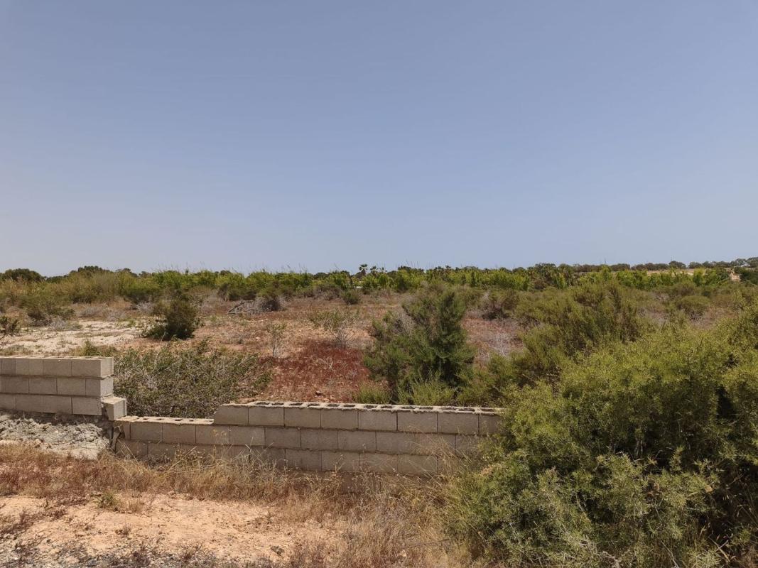 Terreno en venta en Elche / Elx, Alicante photo 4
