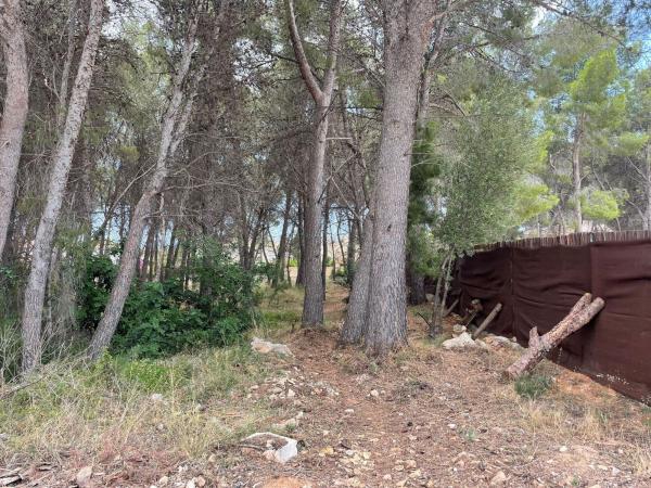 Terreno en Altea la Vella, Altea photo 4