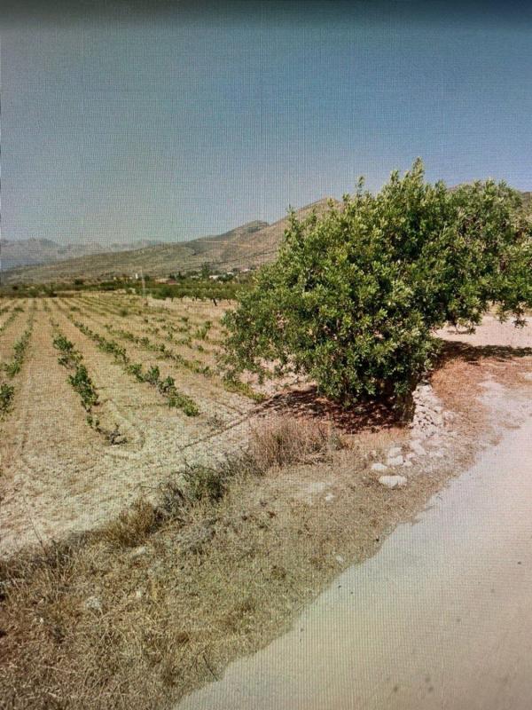 Działka na sprzedaż w Benissa, Alicante photo 1