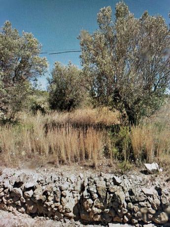 Terreno en Benissa pueblo, Benissa thumbnail 2