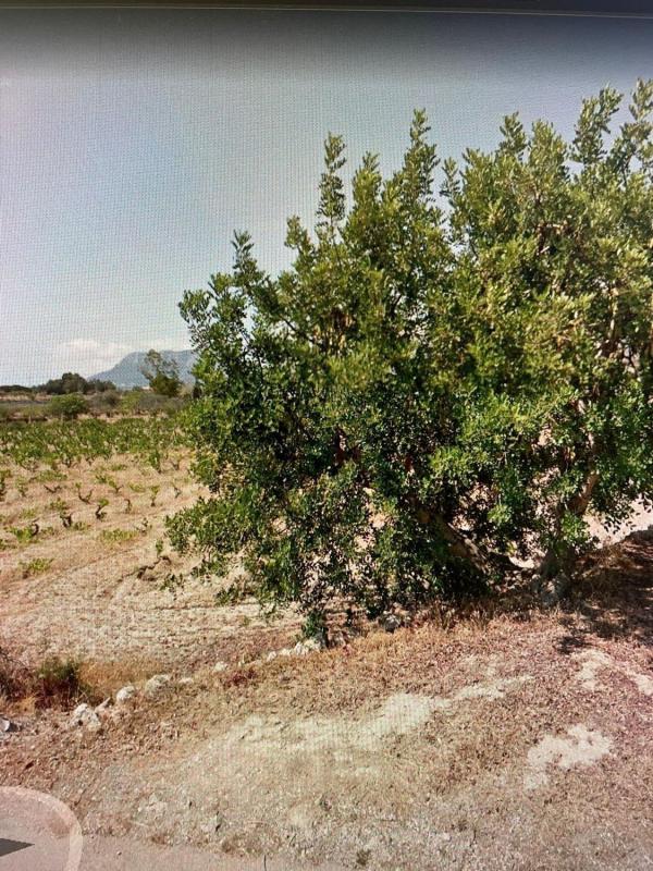 Działka na sprzedaż w Benissa, Alicante photo 4