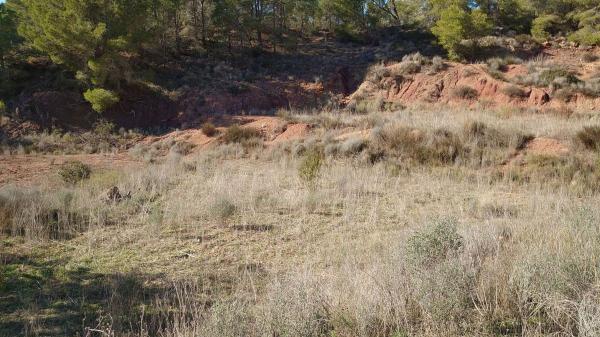Terreno en Partida Tapiada Marraix, Finestrat Pueblo, Finestrat photo 4