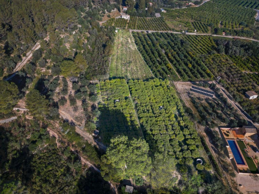 Land for sale in Orba, Alicante photo 3