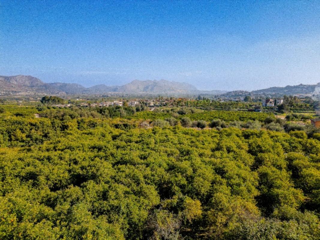 Land for sale in Orba, Alicante photo 4