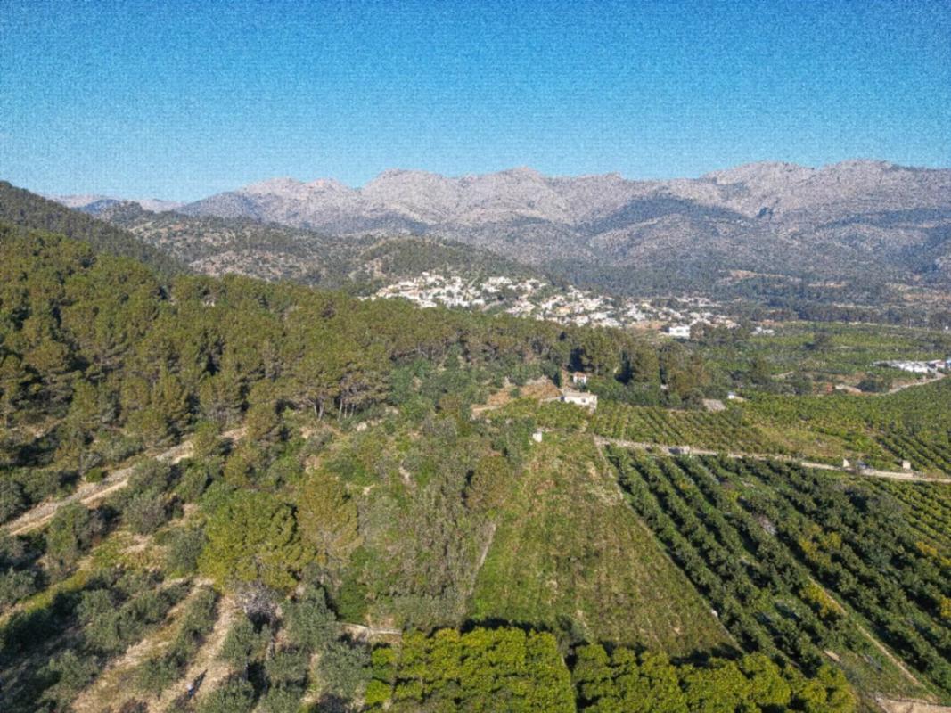 Land for sale in Orba, Alicante photo 5