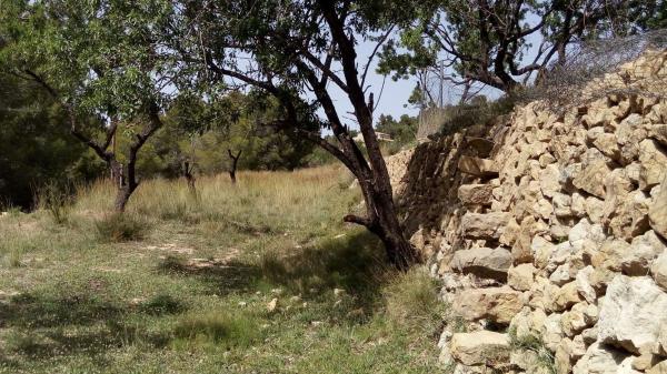 Terreno en Benissa pueblo, Benissa thumbnail 3
