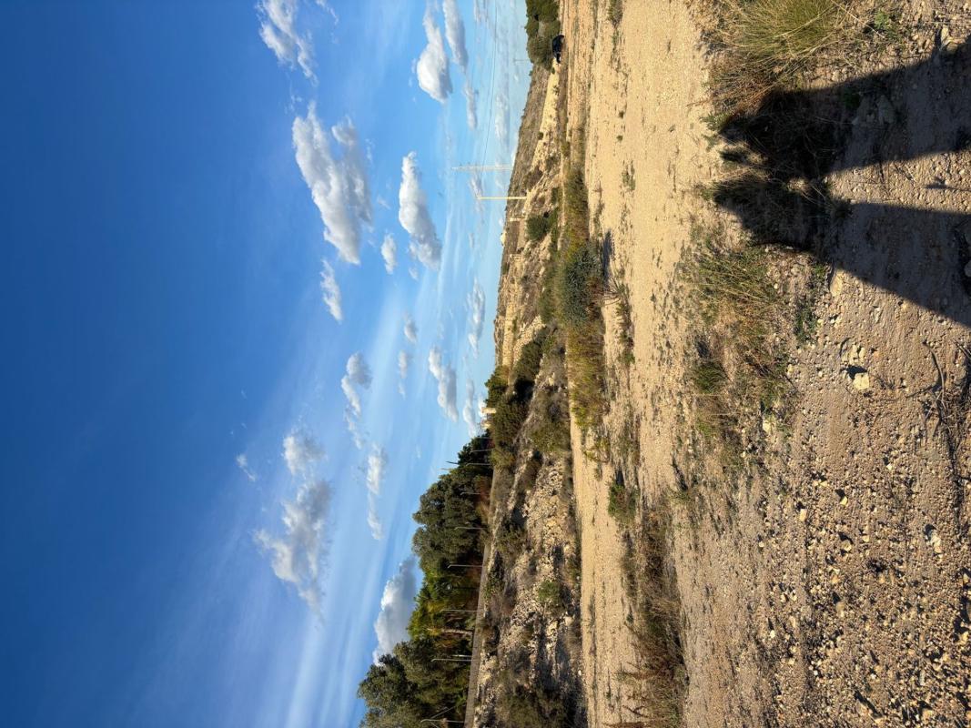 Terreno en venta en Elche / Elx, Alicante photo 1
