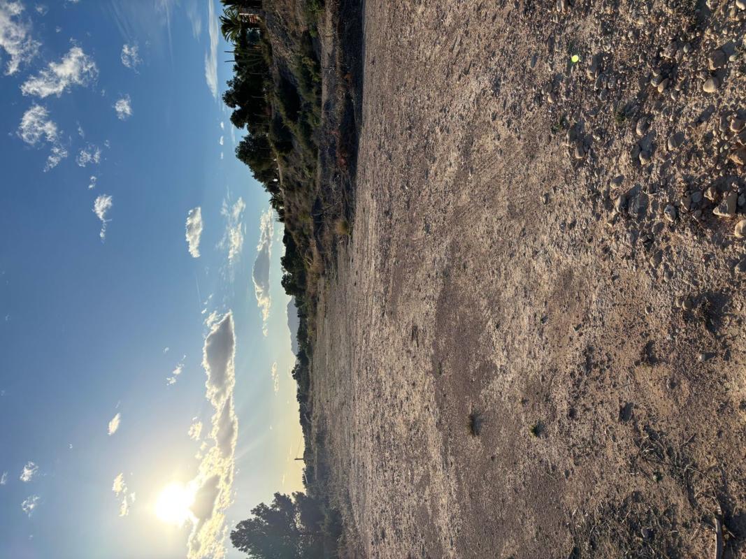 Terreno en venta en Elche / Elx, Alicante photo 2
