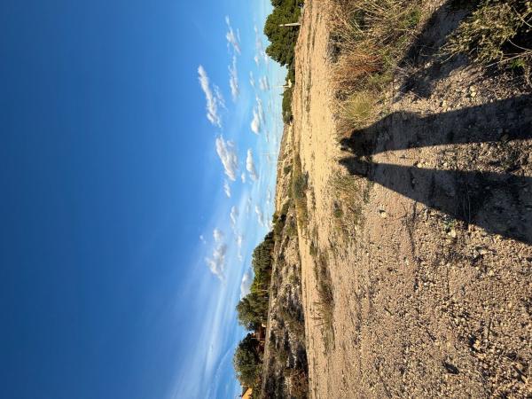 Terreno en Jubalcoi-Saladas, Elche / Elx thumbnail 3