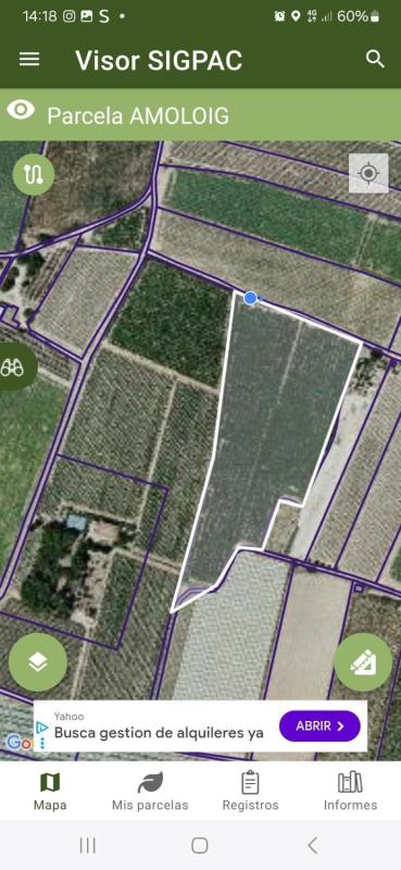 Terreno en venta en Monforte del Cid, Alicante photo 3