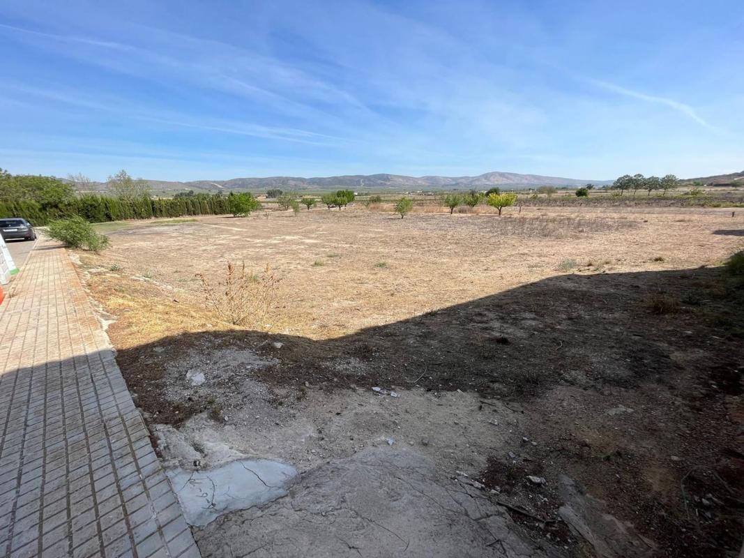 Land for sale in Cañada, Alicante photo 1