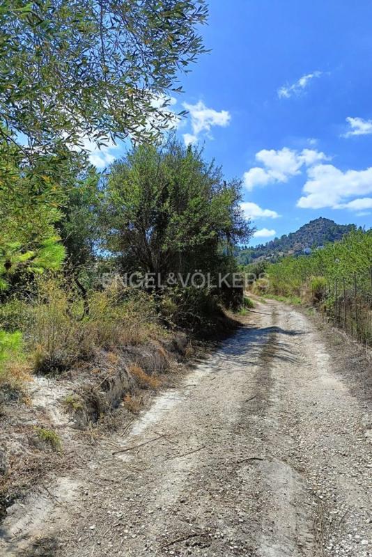 Działka na sprzedaż w Pedreguer, Alicante photo 1