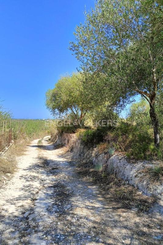 Działka na sprzedaż w Pedreguer, Alicante photo 2