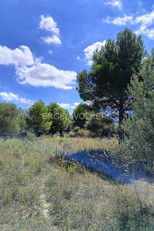 Działka na sprzedaż w Pedreguer, Alicante photo 4