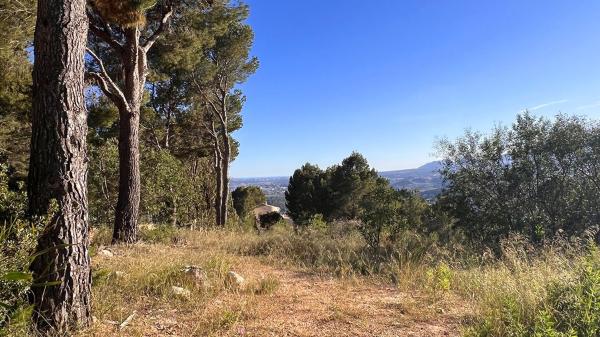 Terreno en Calle Loteria-urlisa II, 27, Altea Hills, Altea photo 4