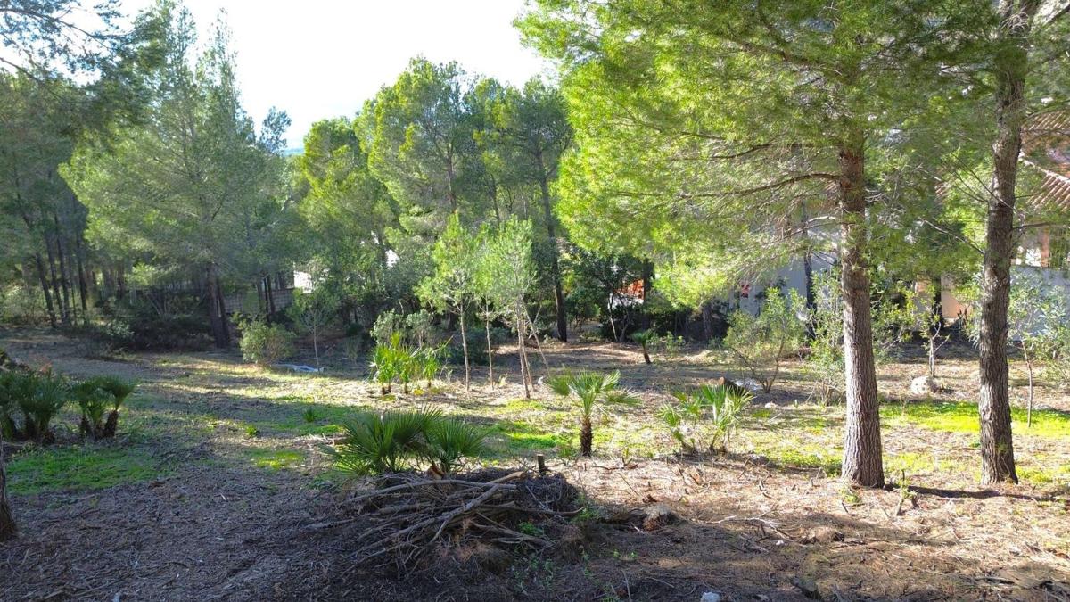 Land for sale in Altea, Alicante photo 5