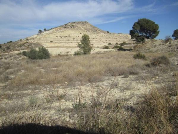 Terreno en Pedanías Oeste, Aspe photo 1