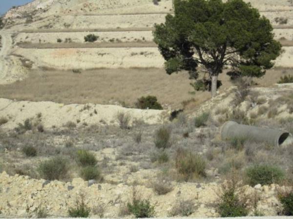 Terreno en Pedanías Oeste, Aspe photo 4