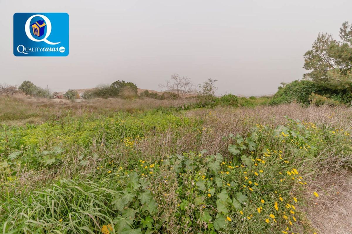 Terreno en venta en Alicante / Alacant, Alicante photo 5