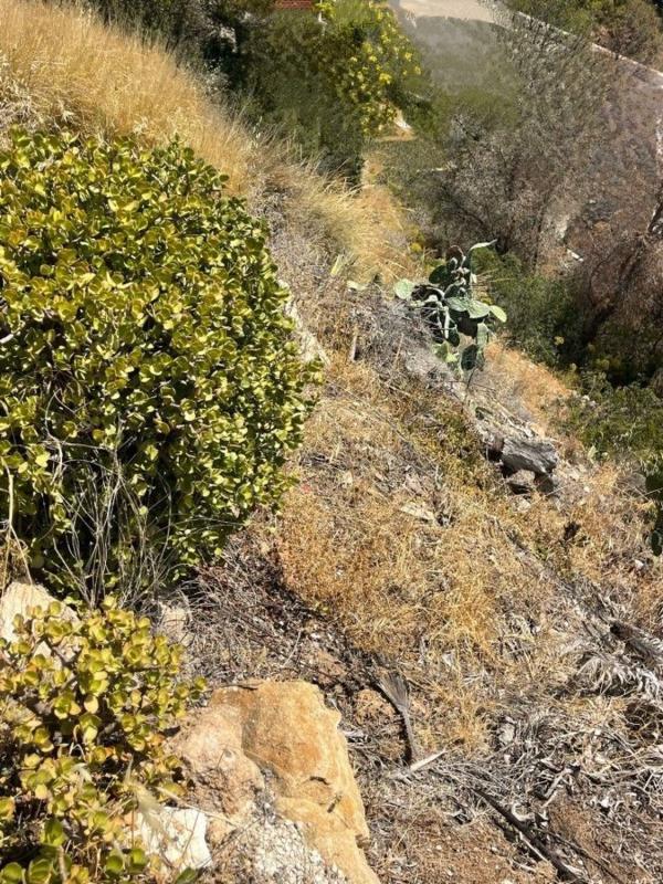 Land for sale in Altea, Alicante photo 5