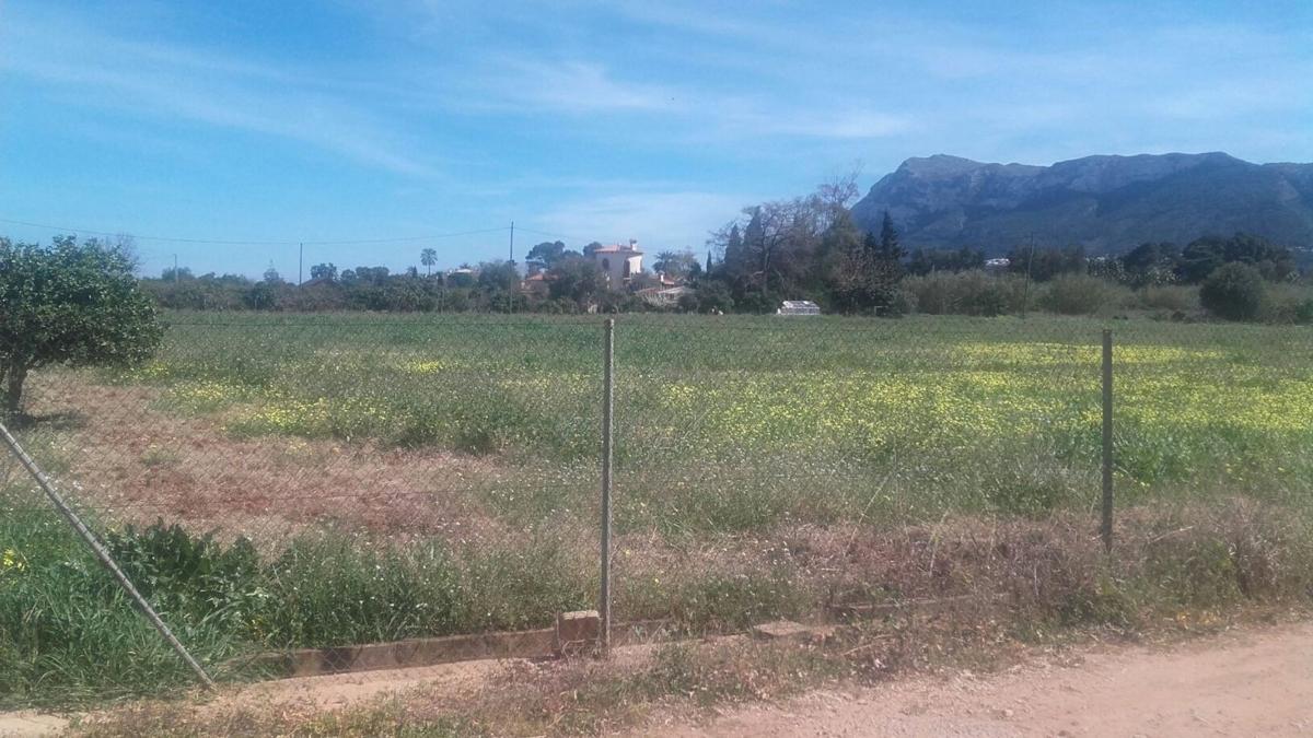 Działka na sprzedaż w Dénia, Alicante photo 2