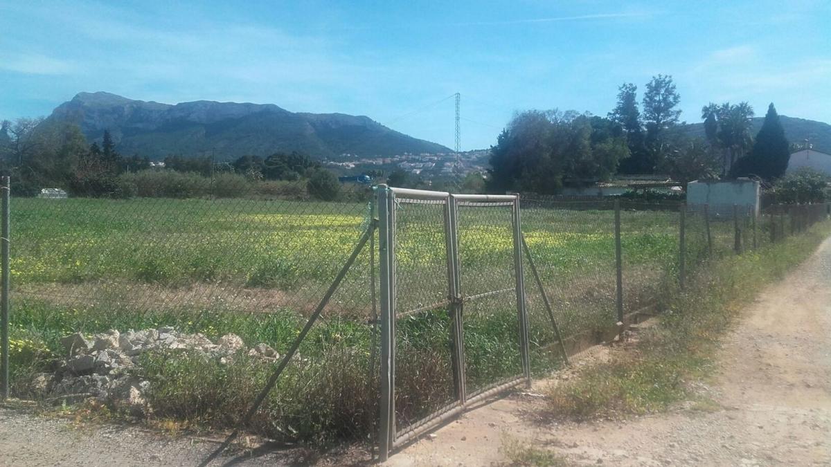 Działka na sprzedaż w Dénia, Alicante photo 3