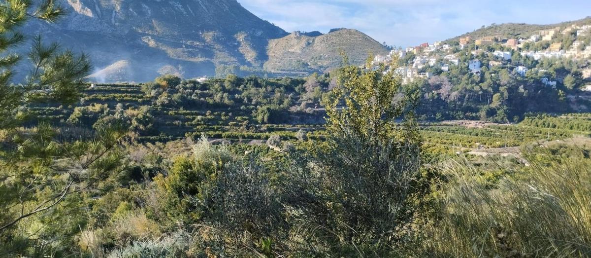 Terreno en venta en Adsubia, Alicante photo 1