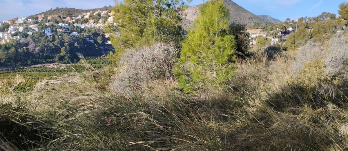 Terreno en venta en Adsubia, Alicante photo 2