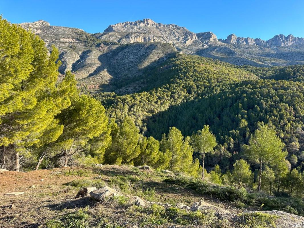 Terreno en venta en Altea, Alicante photo 5