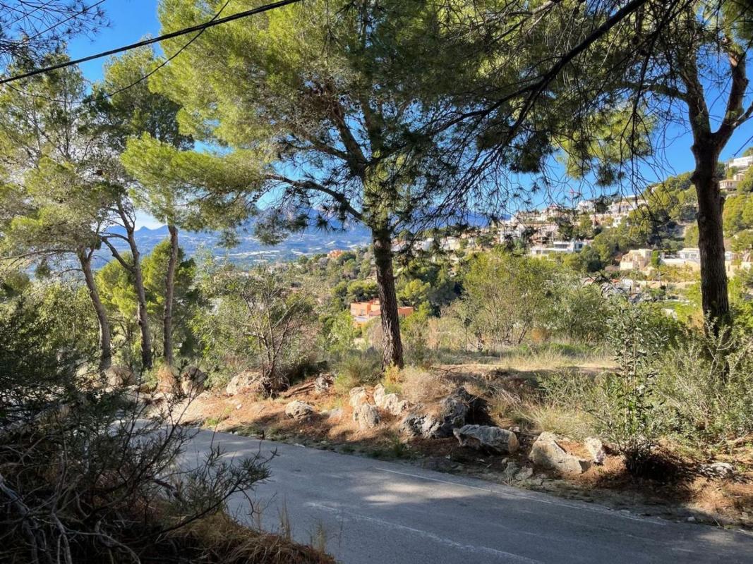 Działka na sprzedaż w Altea, Alicante photo 3