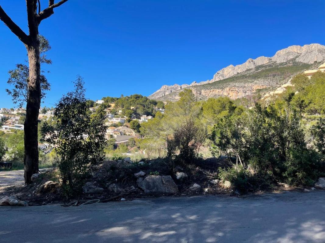 Działka na sprzedaż w Altea, Alicante photo 5