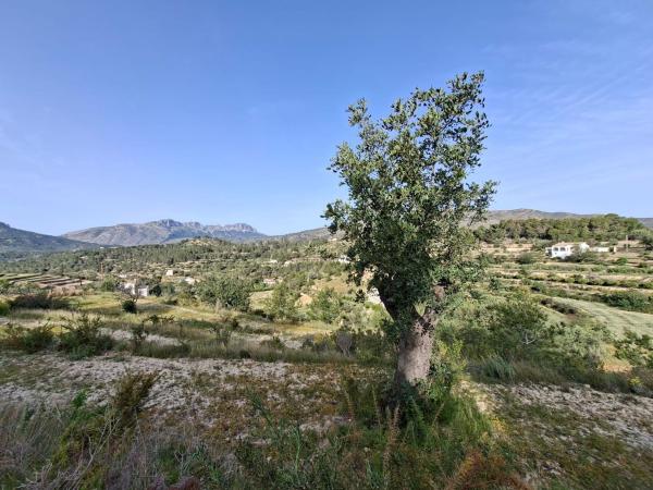 Terreno en Benissa pueblo, Benissa photo 1