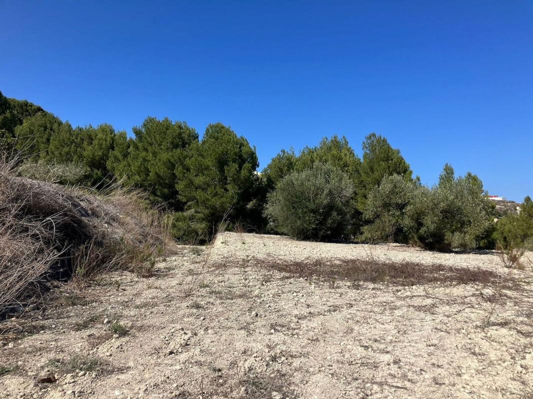 Terreno en venta en Benissa, Alicante photo 5