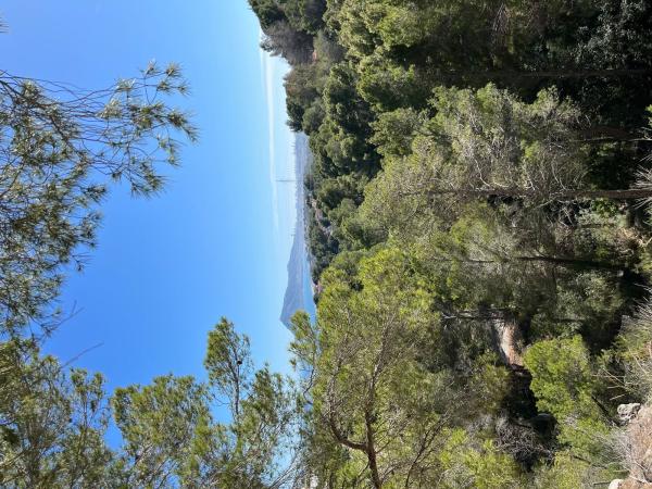 Terreno en Calle la Guatla, 32, Altea la Vella, Altea thumbnail 2
