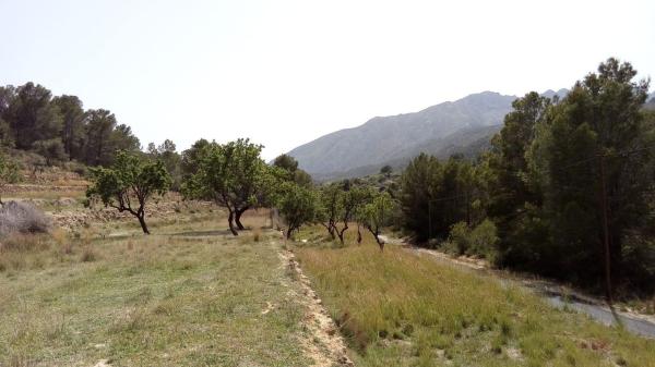 Terreno en Benissa pueblo, Benissa photo 2