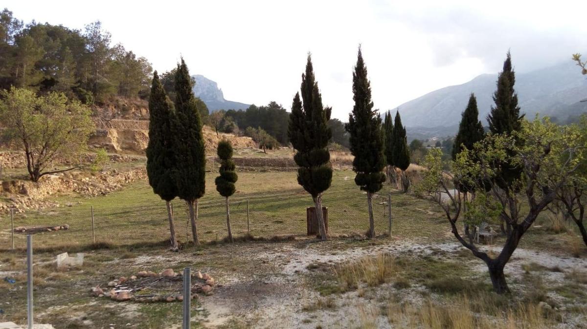 Terreno en venta en Benissa, Alicante photo 5