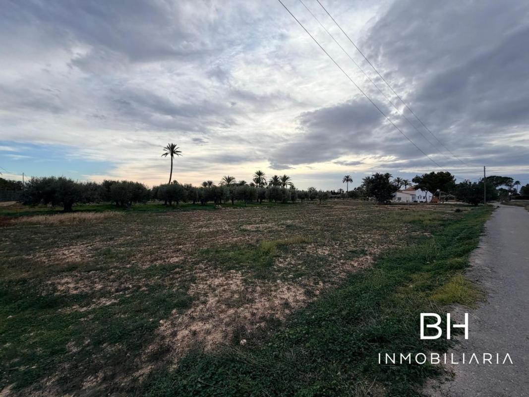 Land for sale in Elche / Elx, Alicante photo 2