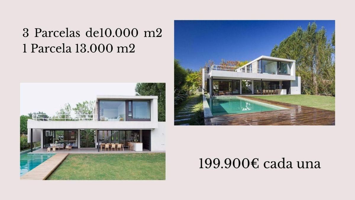 Land for sale in Elche / Elx, Alicante photo 3