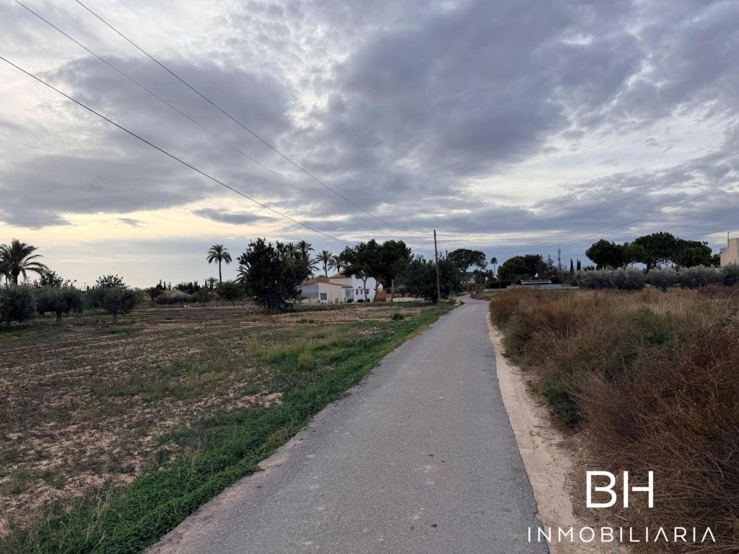 Land for sale in Elche / Elx, Alicante photo 4