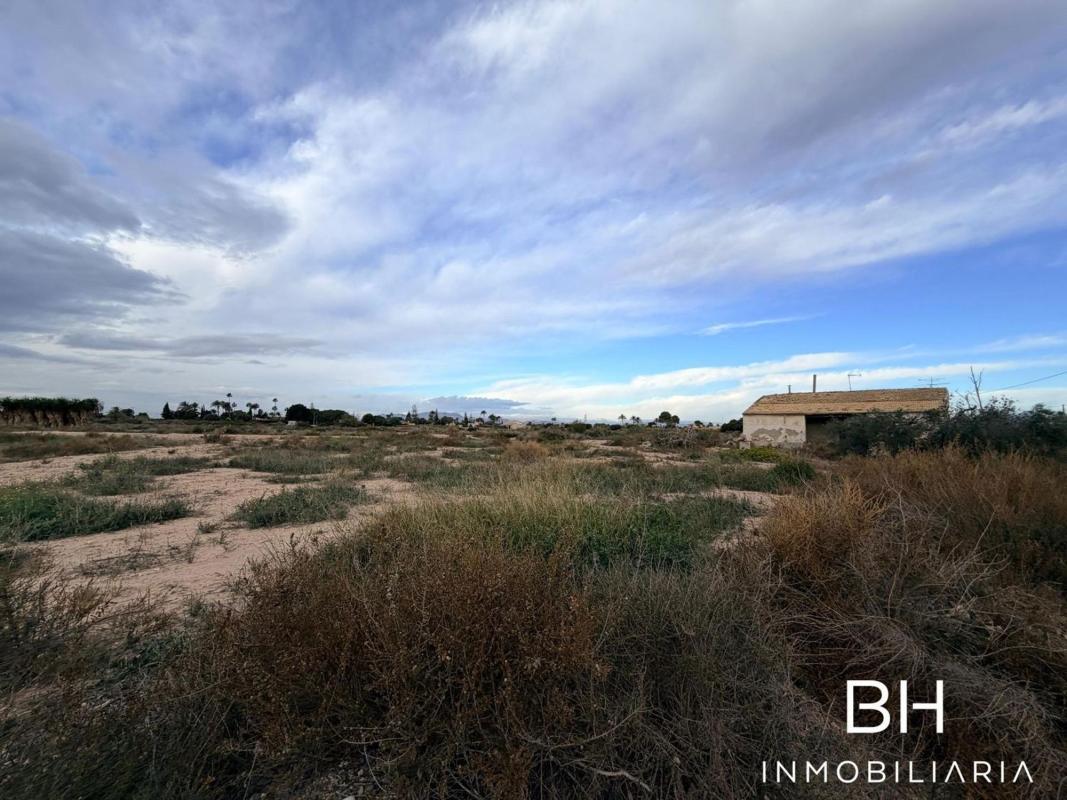 Land for sale in Elche / Elx, Alicante photo 5