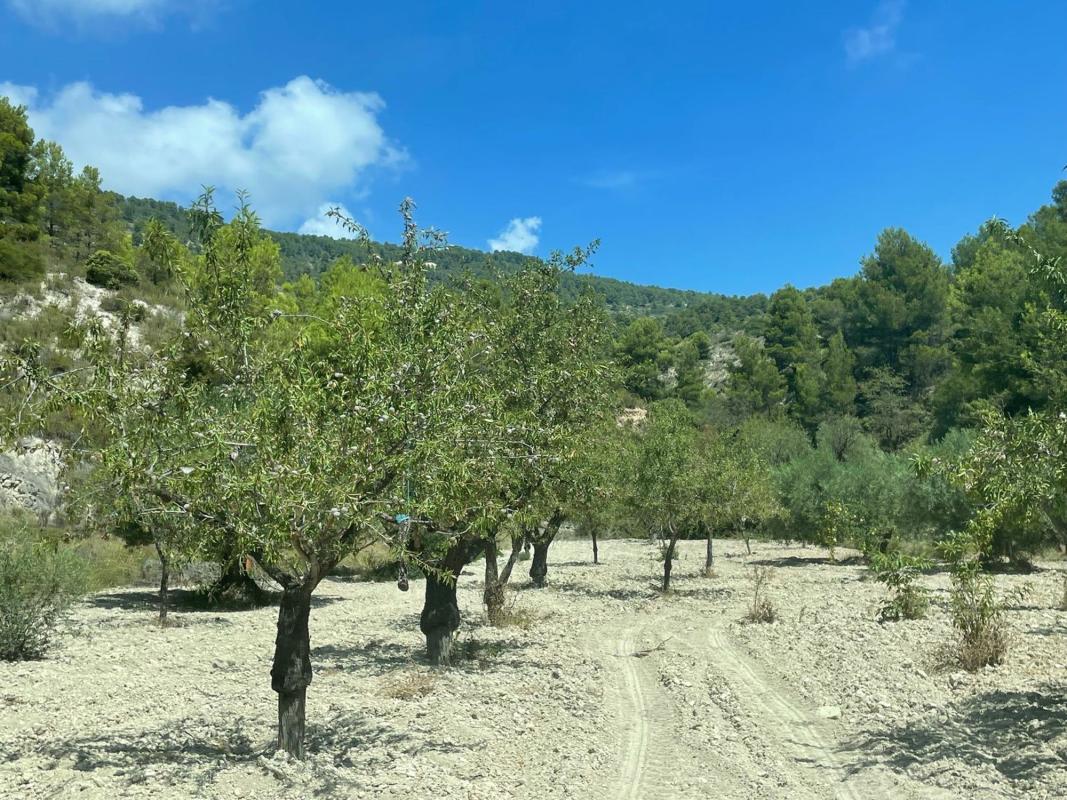 Terreno en venta en Relleu, Alicante photo 2