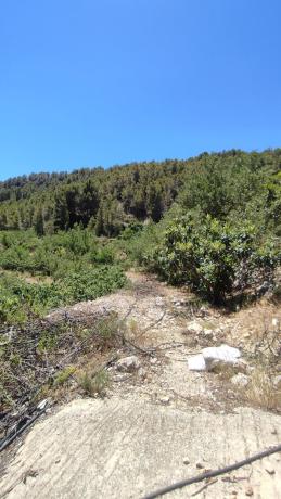 Terreno en Lugar Diseminados, km 5, Bolulla photo 1