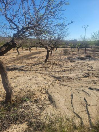 Terreno en Carretera de torremendo, 5, Desamparados-Hurchillo-Torremendo, Orihuela photo 1