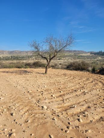 Terreno en Carretera de torremendo, 5, Desamparados-Hurchillo-Torremendo, Orihuela thumbnail 2