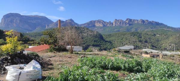 Terreno en Callosa d'En Sarria photo 4