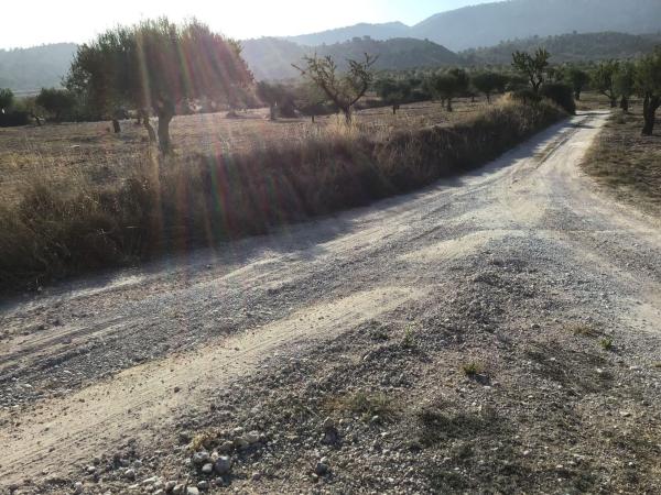 Terreno en Diseminado s/n, Sax photo 1